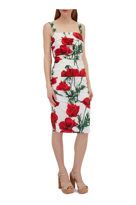 dolce and gabbana poppy dress